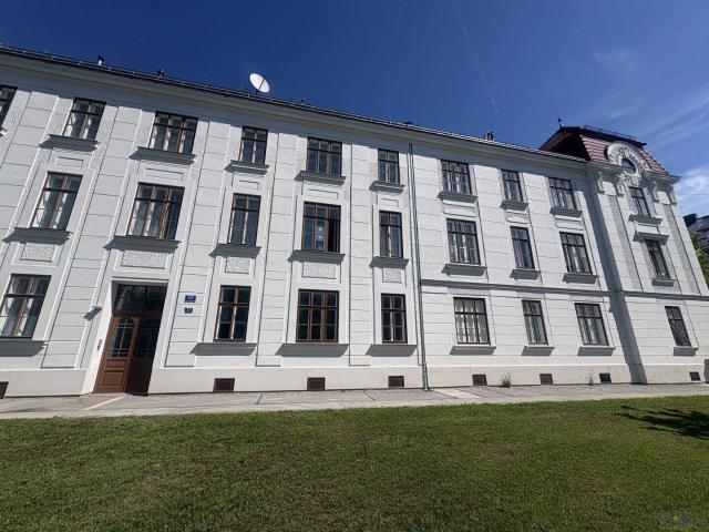 Renovierte Altbauwohnung 2 Zimmer