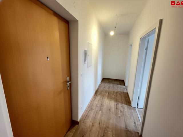 renovierte, preiswerte kleinwohnung in ruhiger lage!