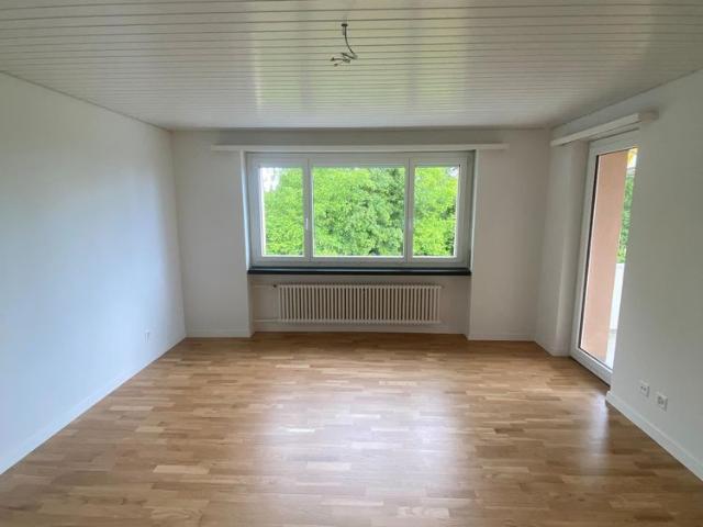 renovierte, sonnige 3 Zimmerwohnung