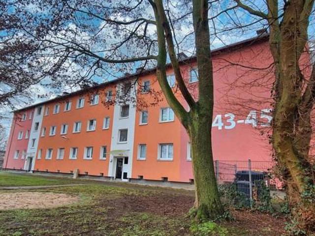 Renovierte und gemütliche Wohnung für 1 2 Personen in Körne