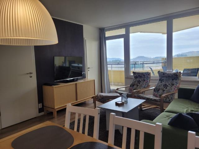 Renovierte Wohnung im 12. OG