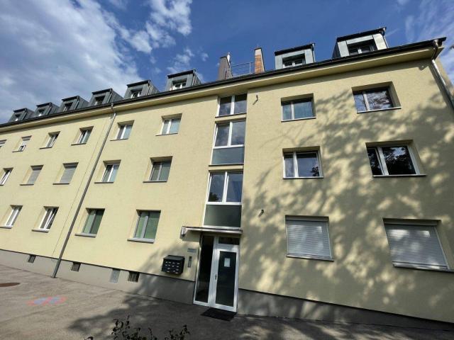 renovierte Wohnung mit möblierter Küche zu vermieten