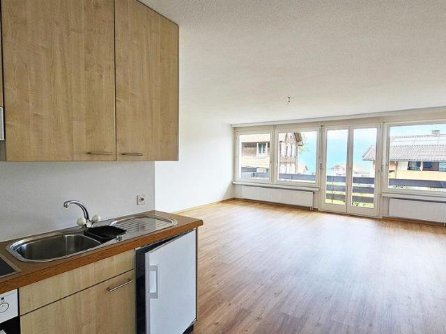 Renovierte 1.5 Zimmer Wohnung an zentraler Lage