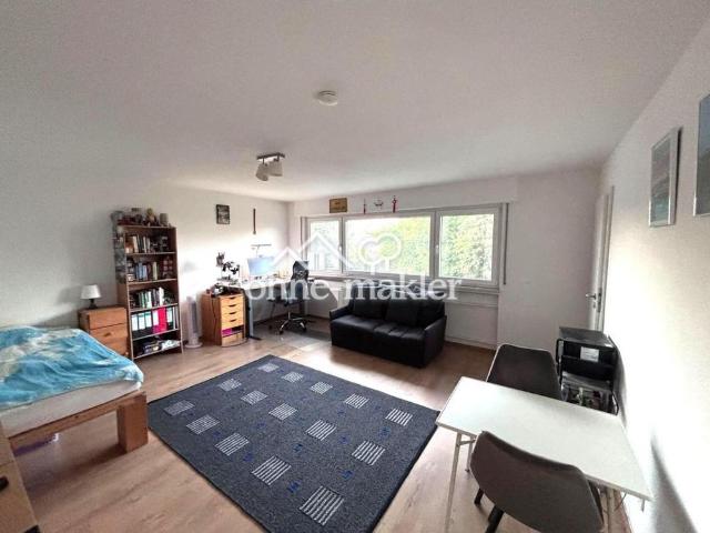 Renovierte 1 Zimmer Wohnung mit Einbauküche, Waschmaschine und Stellplatz