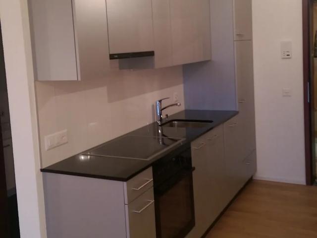 Renovierte 1 Zimmerwohnung