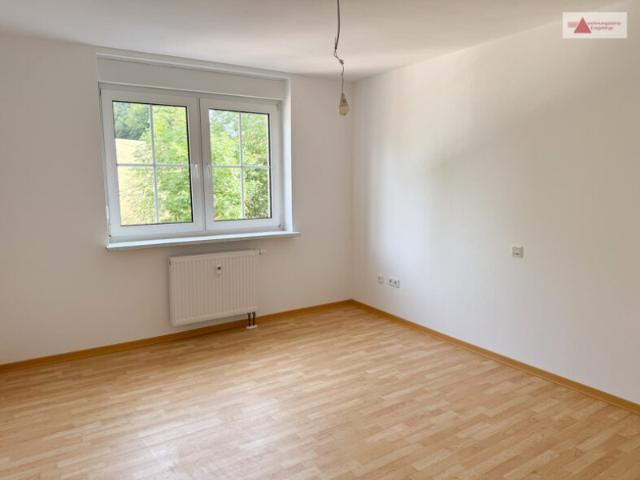 Renovierte 2 Raum Wohnung in Zwönitz OT Brünlos mit Garten – hell & gemütlich!