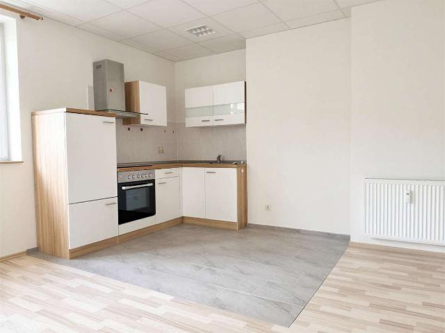 Renovierte 2 Zimmer Wohnung mit Einbauküche & mit Betreuungsoptionen in Klingenthal