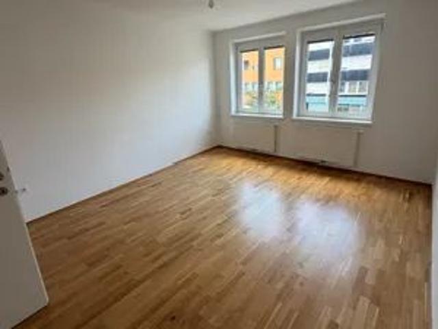 Renovierte 2 Zimmer Wohnung nahe Alter und Neuer Donau