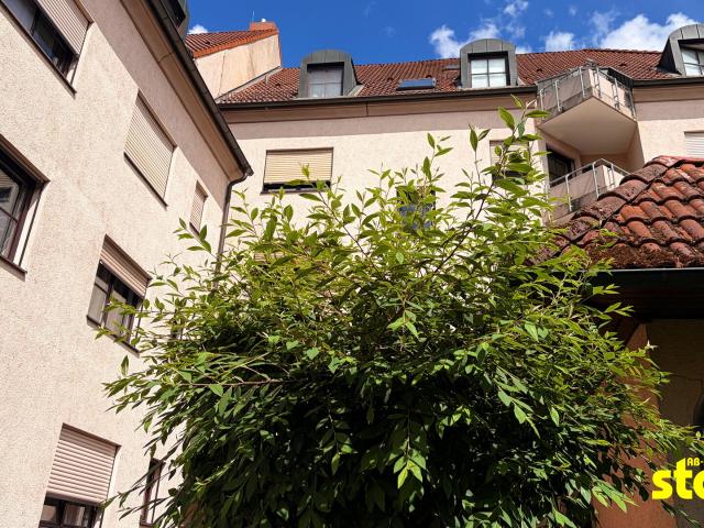 RENOVIERTE 2 ZIMMERWOHNUNG * ZENTRALE LAGE NÄHE HAUPTBAHNHOF!