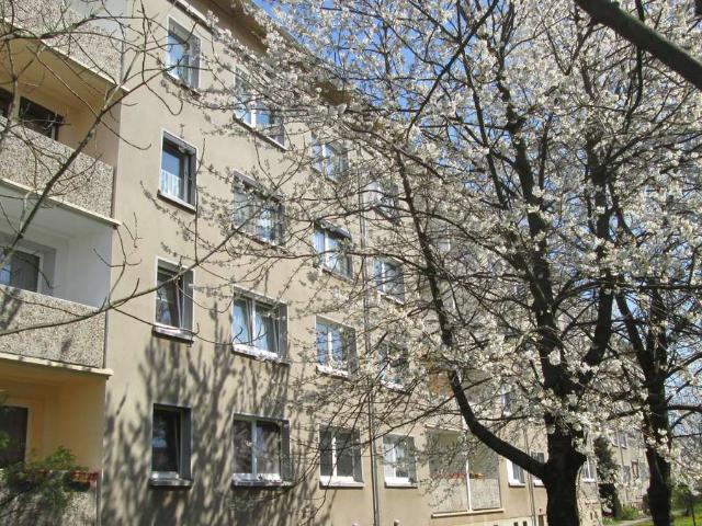 renovierte 35,5 m² Singlewohnung BU11