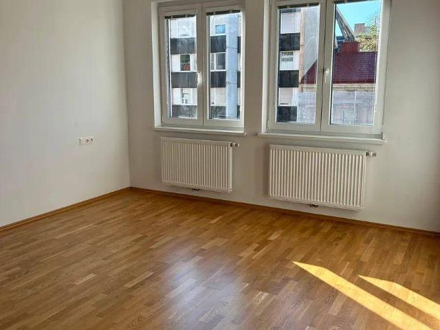 Renovierte 3 Zimmer Wohnung für 2er WG nahe Alter und Neuer Donau