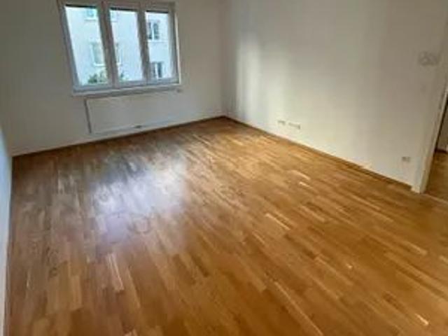 Renovierte 3 Zimmer Wohnung für 2er WG nahe Alter und Neuer Donau