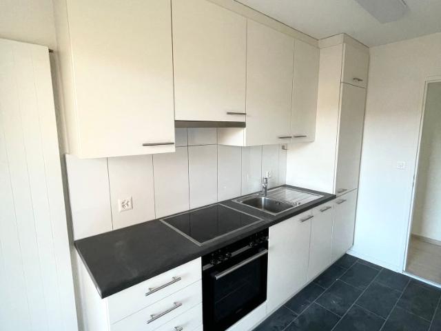 renovierte 3 Zimmer Wohnung mit grossem sonnigem Balkon