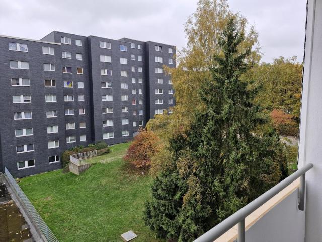 Renovierte 3 Zimmer Wohnung sucht neuen Mieter