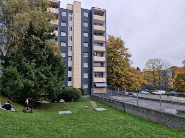 Renovierte 3 Zimmer Wohnung sucht neuen Mieter