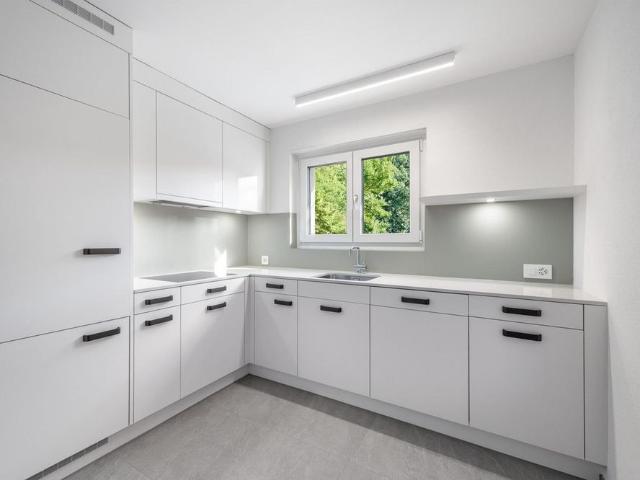 Renovierte 4.5 Zimmerwohnung mit Gartensitzplatz in Brugg