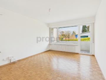 Renovierte 4 Zimmer Wohnung mit Balkon, Allschwil