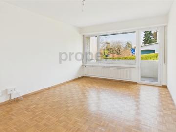 Renovierte 4 Zimmer Wohnung mit Balkon, Allschwil
