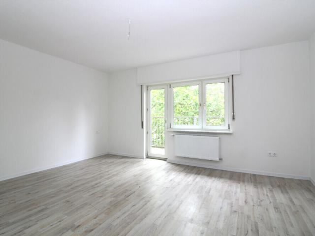Renovierte 4 Zimmer Wohnung mit zwei Balkonen in Ludwigshafen Süd