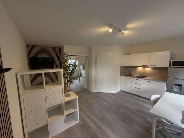 Renoviertes 1 Zimmer Apartment in Freiberg