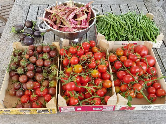 Renoviertes Bauernhaus mit 4,5 Zimmern in Coeuve en Ajoie mit großem Garten