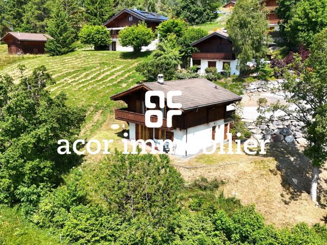 Renoviertes Chalet mit Aussicht und Ruhe in Arbaz!