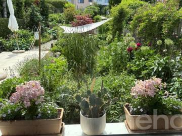 Binz, Maur, Bezirk Uster, Kanton Zürich