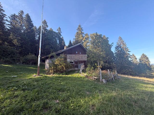 Renovierung – Lodge mit Flur von 750 m²