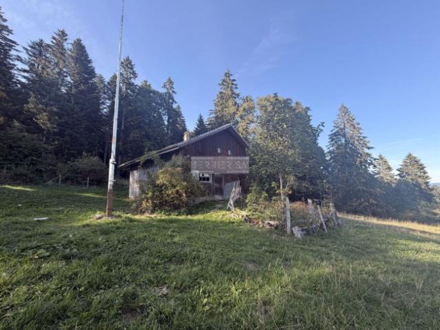 Renovierung – Lodge mit Flur von 750 m²