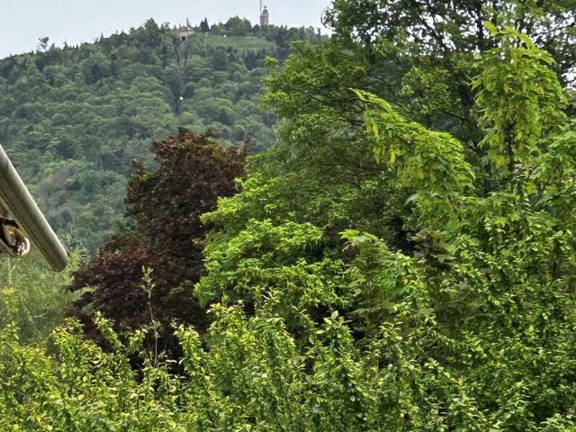 Renovierungsbedürftiges 2 Zi Penthouse mit Aufzug in Baden Baden Innenstadt