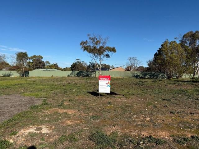 READY SET BUILD! LOT 51