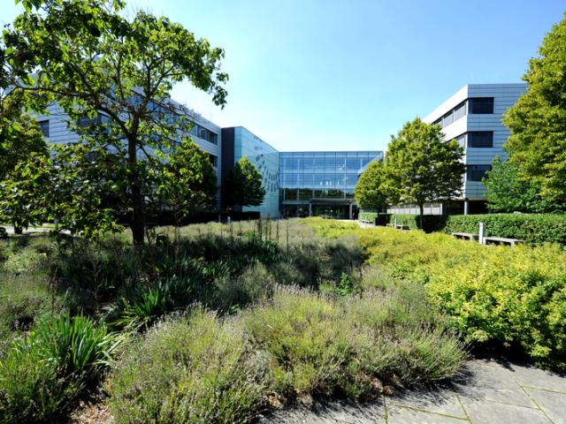 Real Estate trifft Industrie Scarletallee