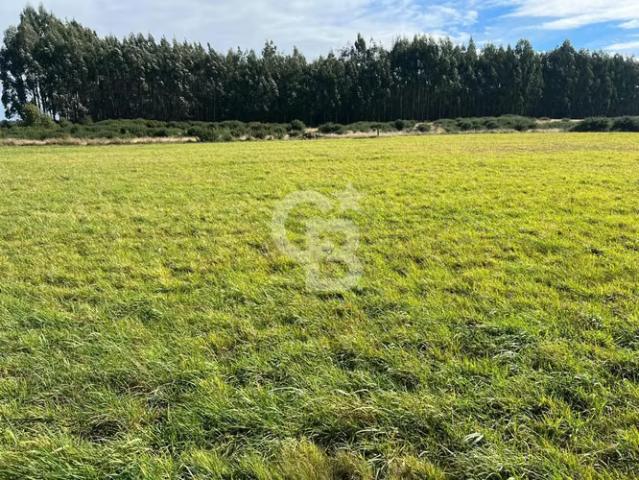 Parcela a solo 5 minutos de la Marina de Puerto | 0 dormitorios por 2500.00 en Puerto Varas