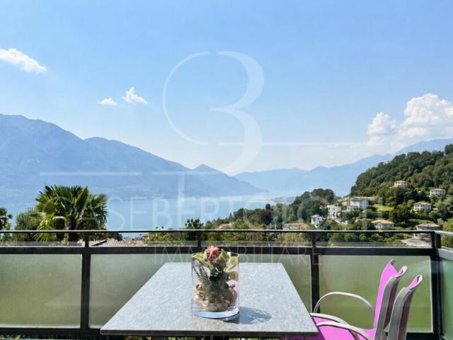 Reben. Garten. Lago