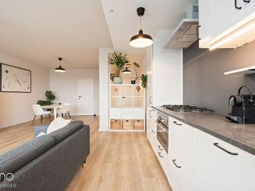 Recent gerenoveerd 2 slpk appartement in hartje Antwerpen