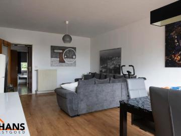 2150, Borsbeek, Province de Anvers, Flandre