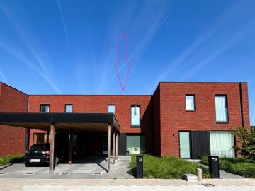 8800, Roeselare, Roulers, Flandre-Occidentale, Flandre