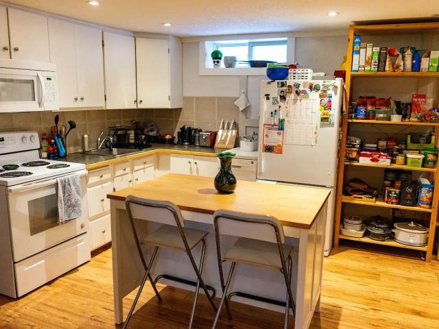 Recently renovated 2 bedroom basement suite