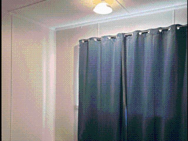 Recently Renovated 2 Bedroom Unit