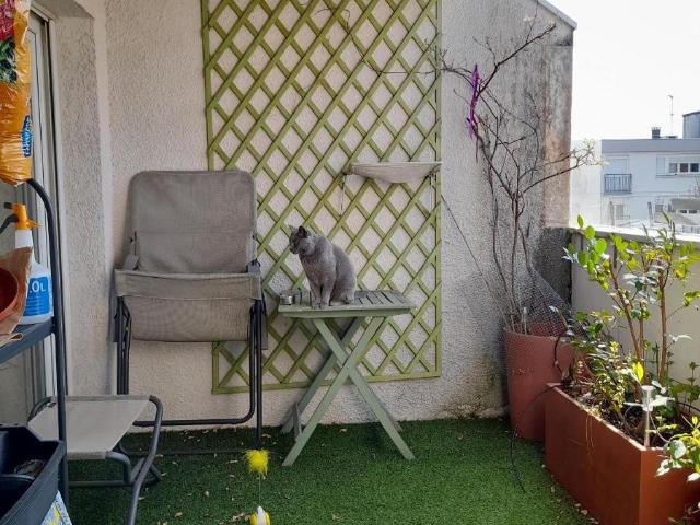 Recherche location FERNEY VOLTAIRE, contactez notre agence pour une visite: appartement T3 à louer à FERNEY VOLTAIRE N°LAPP101533 location