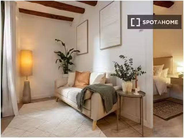 Bonito Apartamento de 1 dormitorio en alquiler en Ciutat Vella.