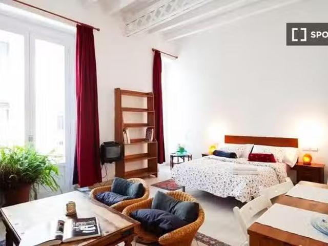 Único Estudio en alquiler en Barcelona
