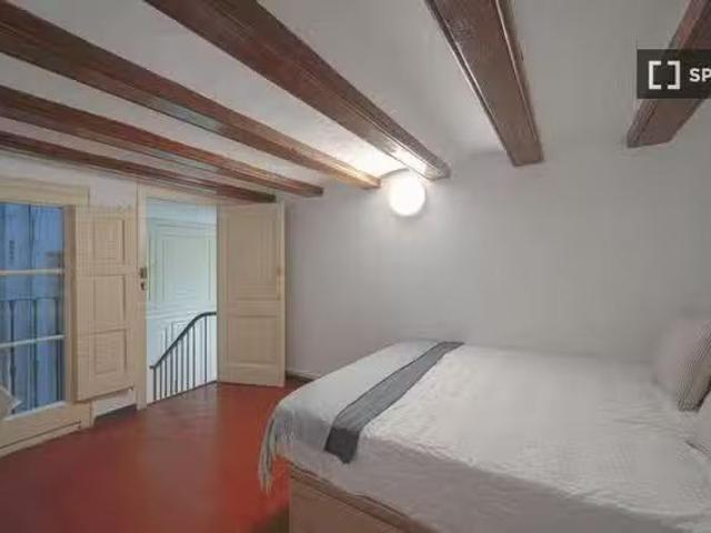 Bonito Habitación en piso compartido en alquiler, El Gòtic Bar.