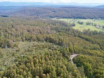 Land for sale in Birralee