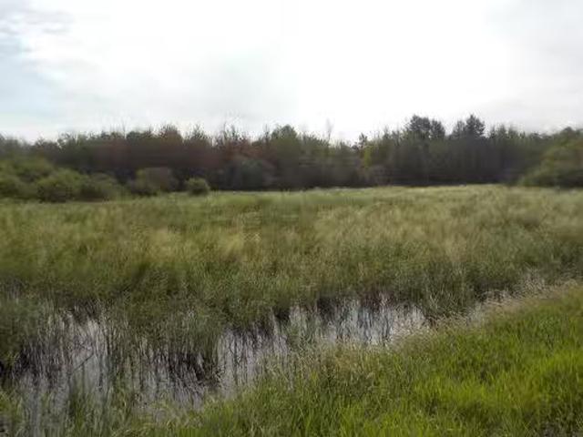 Redwater, Alberta, T0A 2W0 vacant land for sale Listing ID.