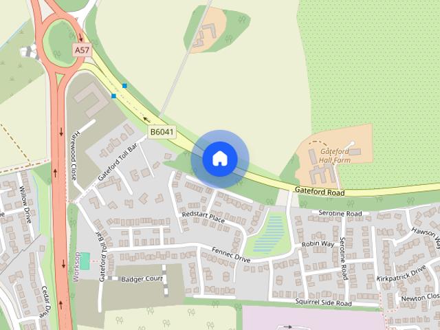 Redstart Place, Worksop S81