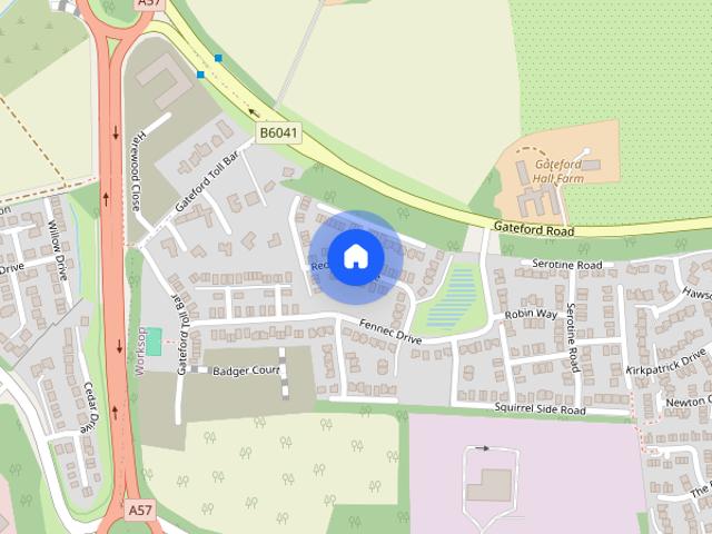 Redstart Place, Hall Park, S81