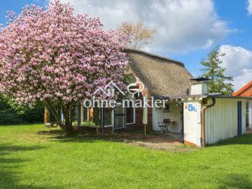 Ritsch, Elbe-Weser-Dreieck, Schleswig-Holstein