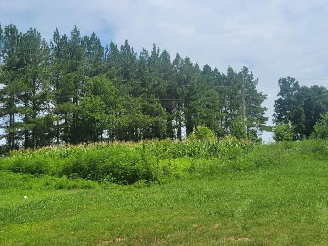 Reed Rd, Ten Mile, TN 37880