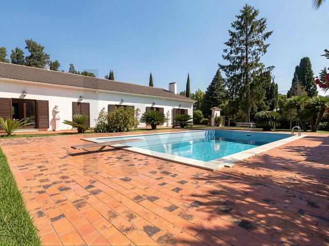 Refúgio na Arrábida | Quinta de 1,5ha | moradia térrea| pisc. 373m² Azeitão São Lourenço e São Simão
